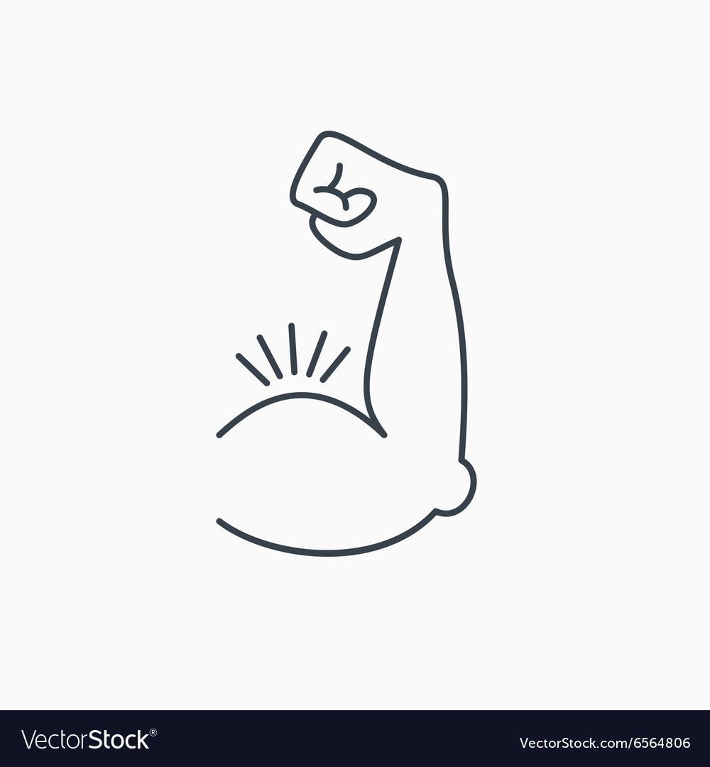 bicep clipart building muscle