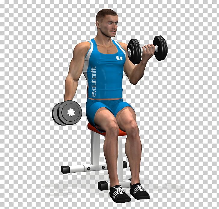 bicep clipart dumbbell