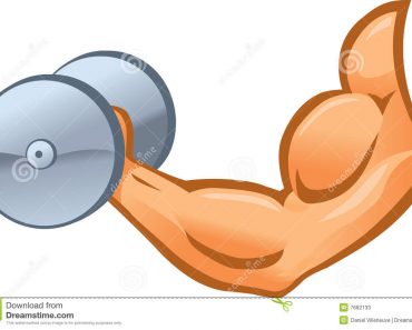 bicep clipart dumbbell