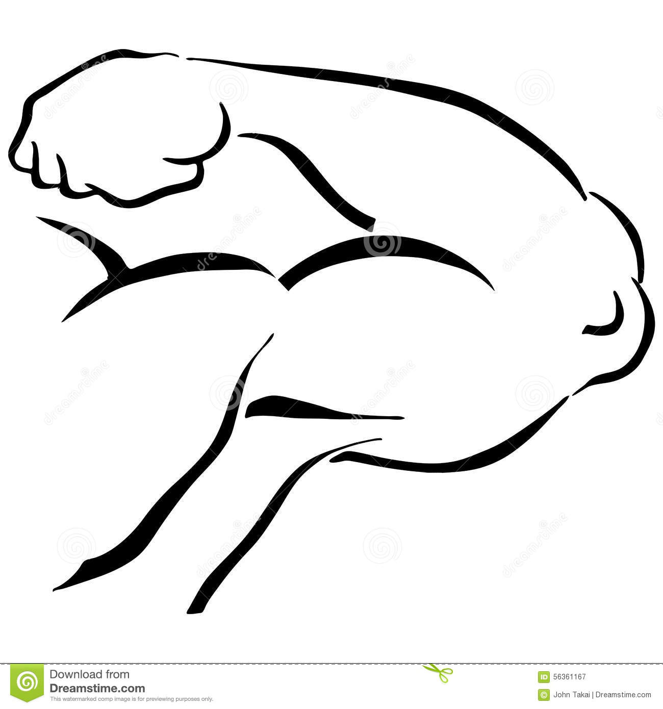 Bicep clipart flexed arm. Mussel flexing pencil and