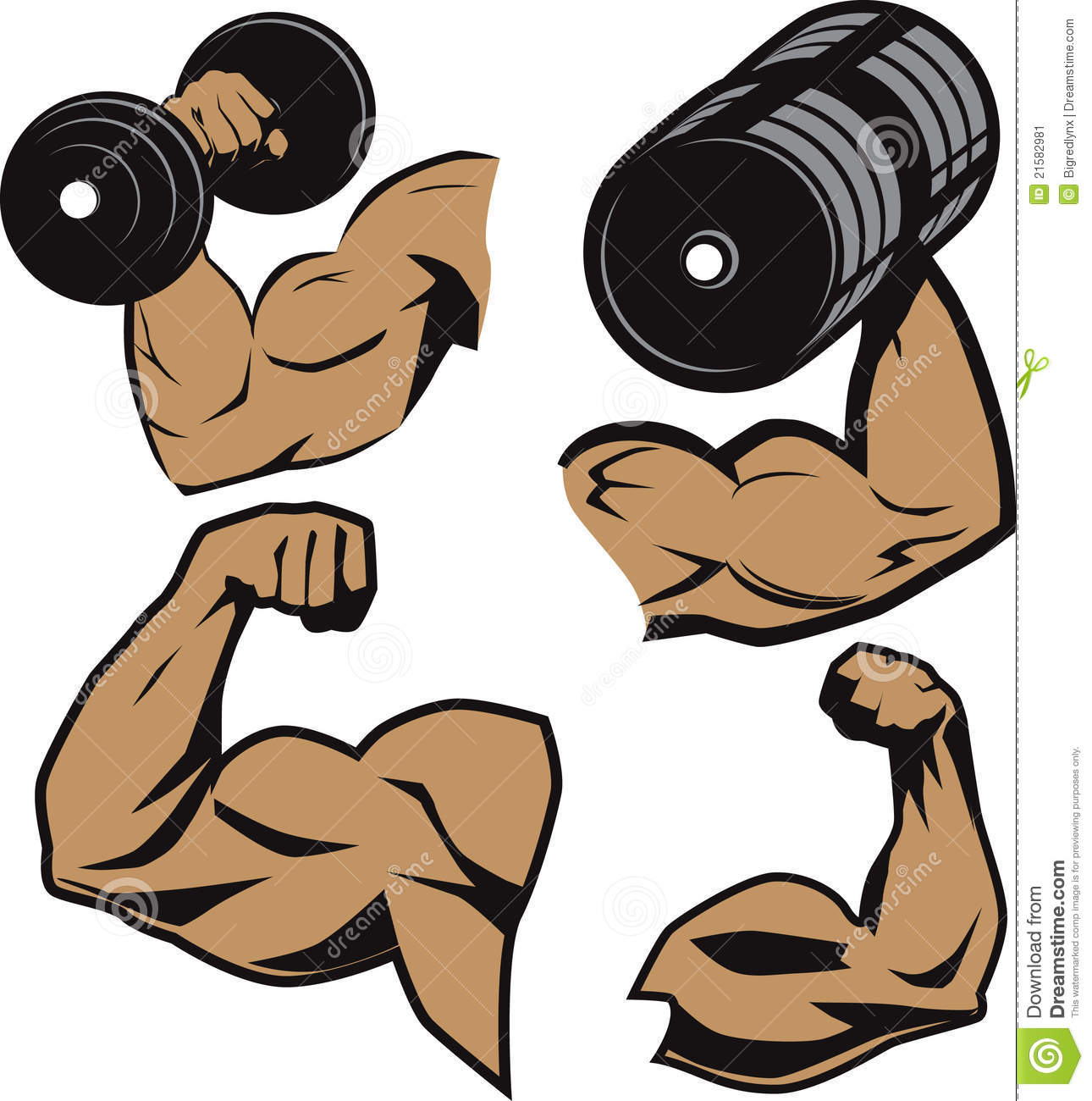 Bicep clipart flexed arm. Flexing free download best