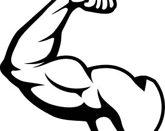 Bodybuilding svg etsy muscles. Bicep clipart gym