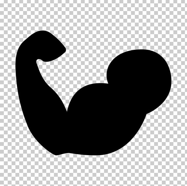 Bicep clipart gym. Biceps computer icons muscle