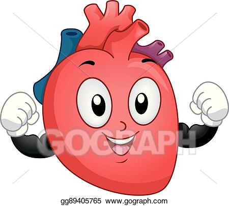 bicep clipart healthy