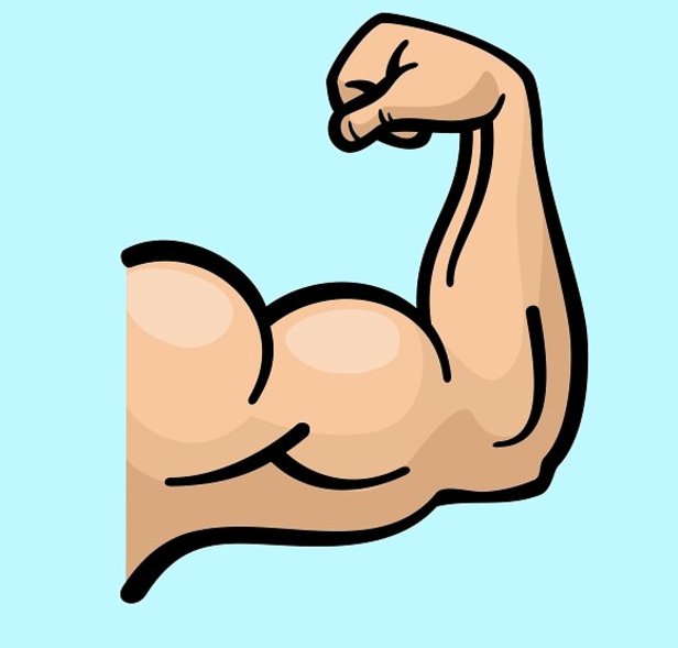 bicep clipart masculinity