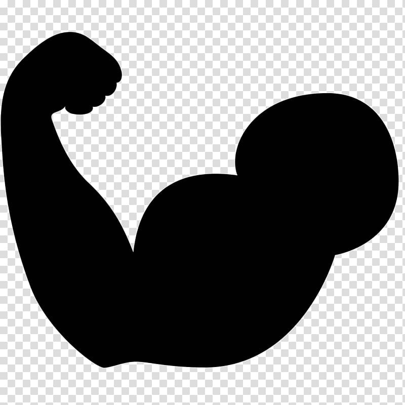 bicep clipart muscle mass