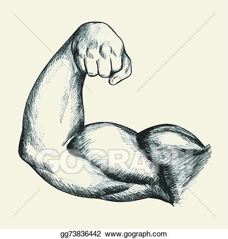 Arm clipart right arm. Vector stock bodybuilder biceps