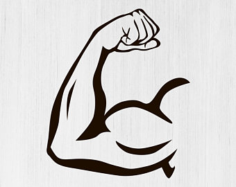 bicep clipart muscled arm