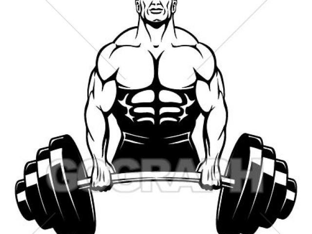 bicep clipart muscular force