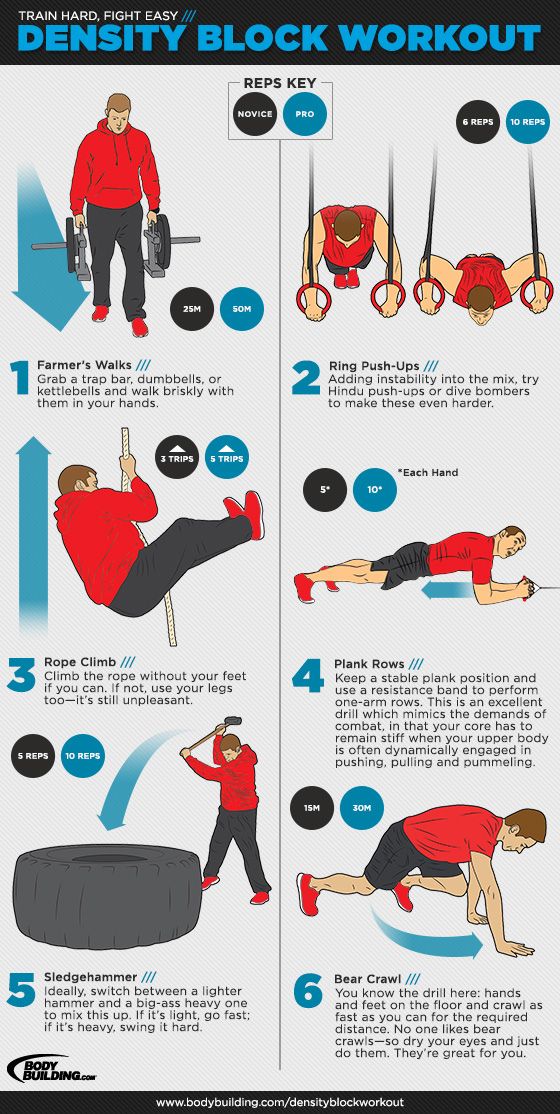 Bicep clipart muscular strength exercise. Density block training build
