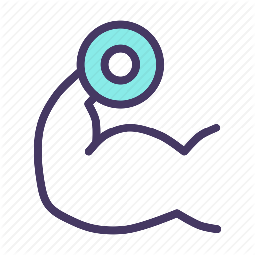 bicep clipart muscular strength exercise