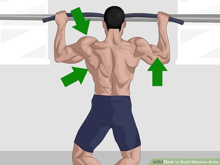 bicep clipart muscular strength exercise