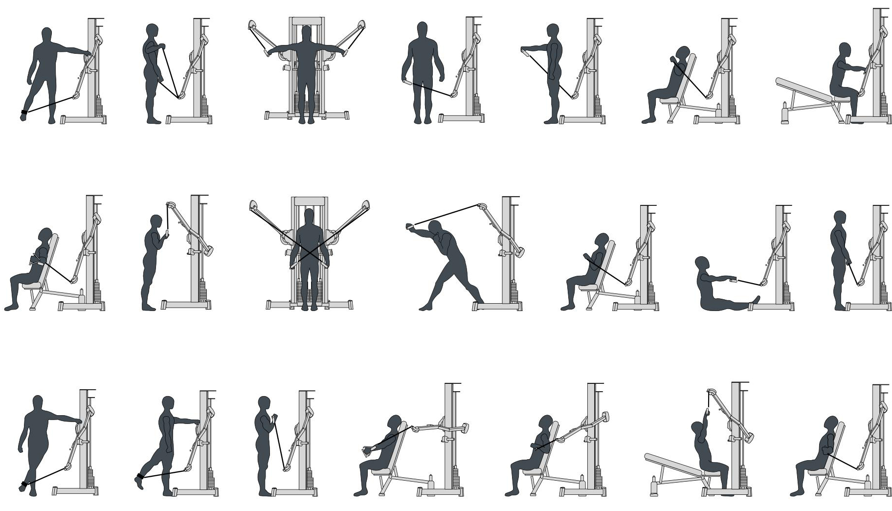 Bicep clipart muscular strength exercise. Workouts health and fitness