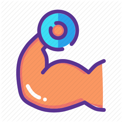 bicep clipart muscular strength exercise