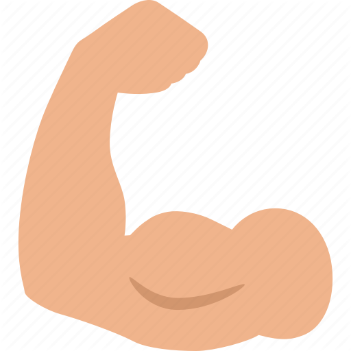  the human body. Bicep clipart muscular strength exercise