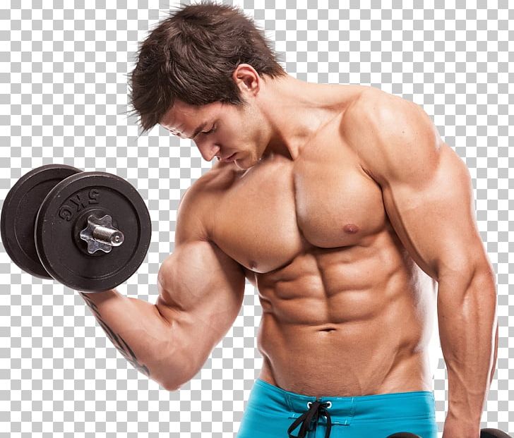 bicep clipart physical strength