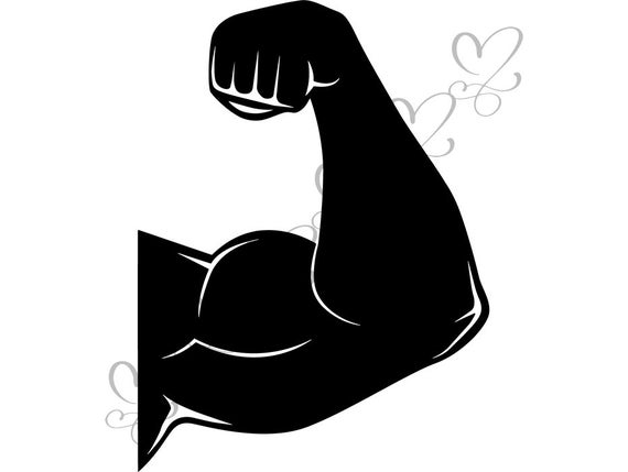 Biceps bodybuilder weightlifter workout. Bicep clipart power