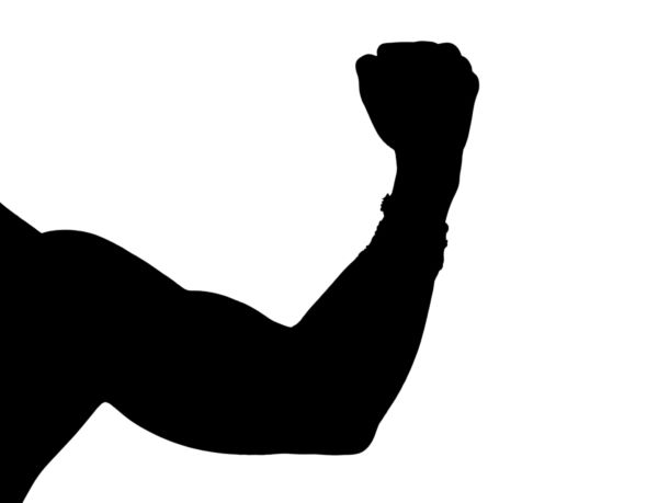 Muscle at getdrawings com. Arm clipart silhouette