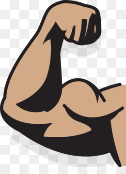 bicep clipart strong fist