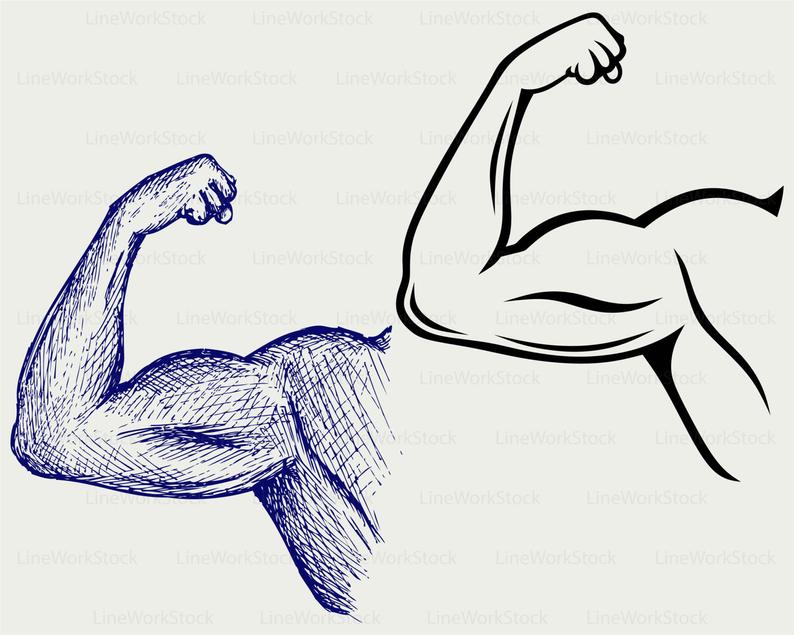 bicep clipart svg