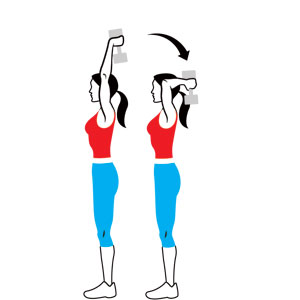 bicep clipart triceps