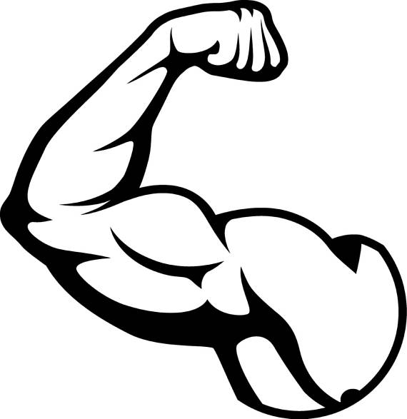 Bicep clipart vector, Bicep vector Transparent FREE for download on ...