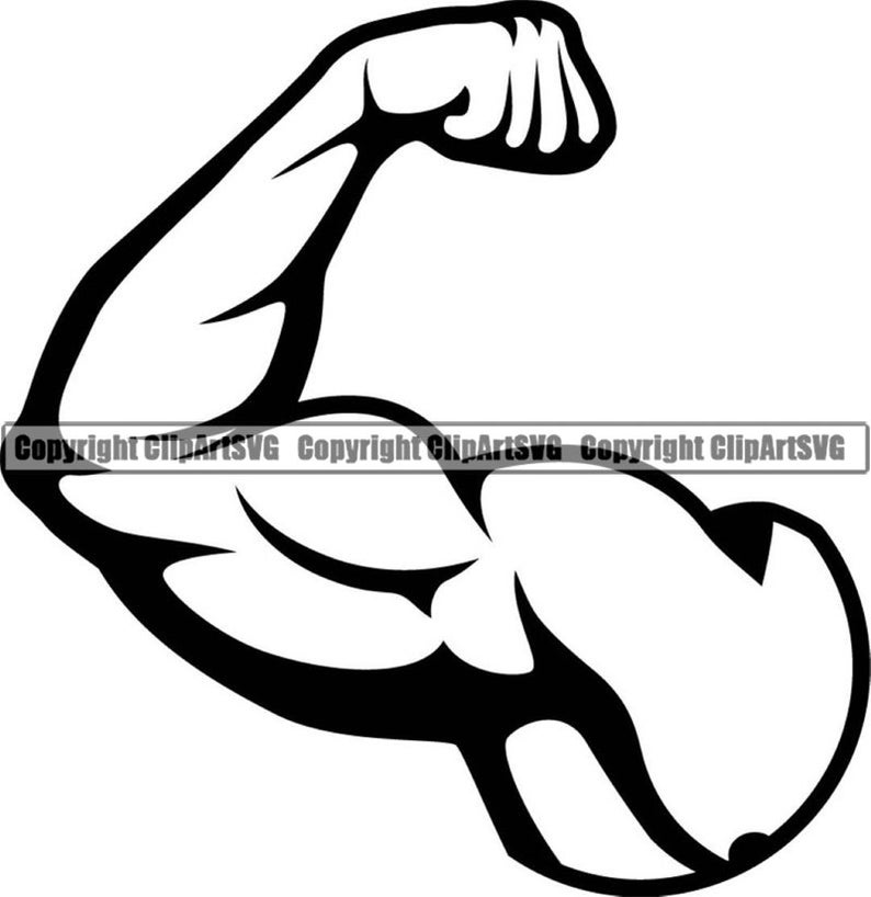 Bicep clipart weightlifting. Muscles fit bodybuilding fitness