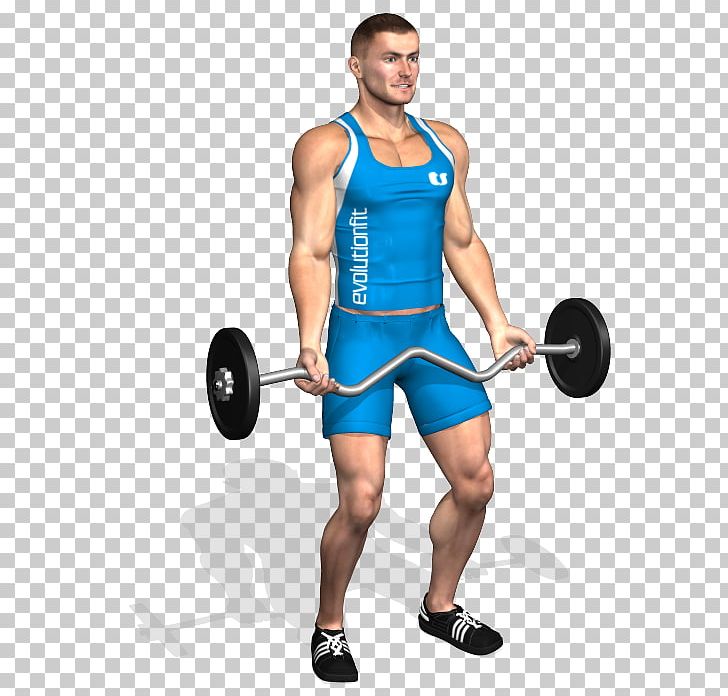 Bicep clipart weightlifting. Weight training barbell biceps