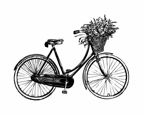 Flowers vintage free stock. Bicycle clipart flower