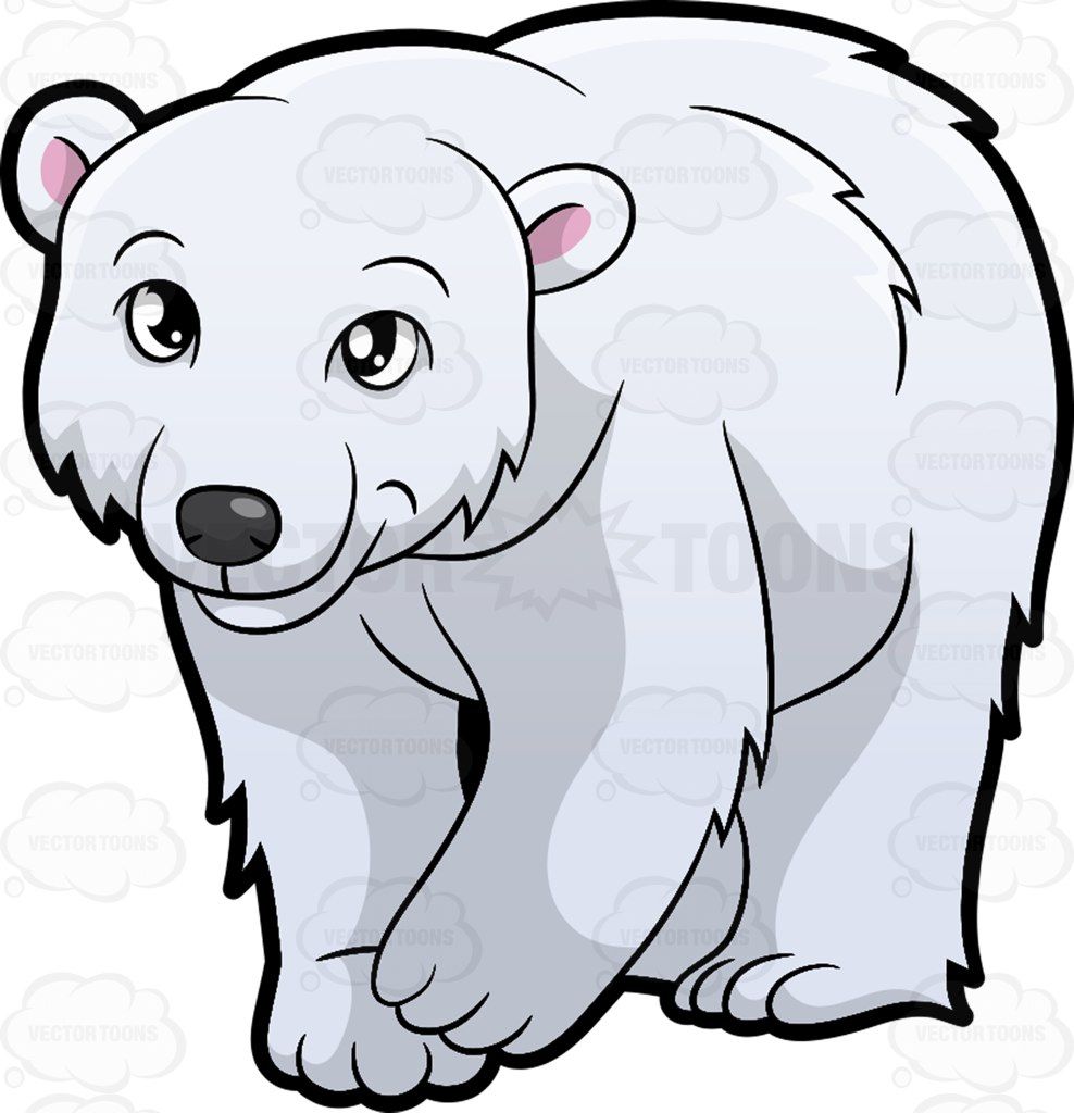 Big clipart polar bear. A friendly looking and