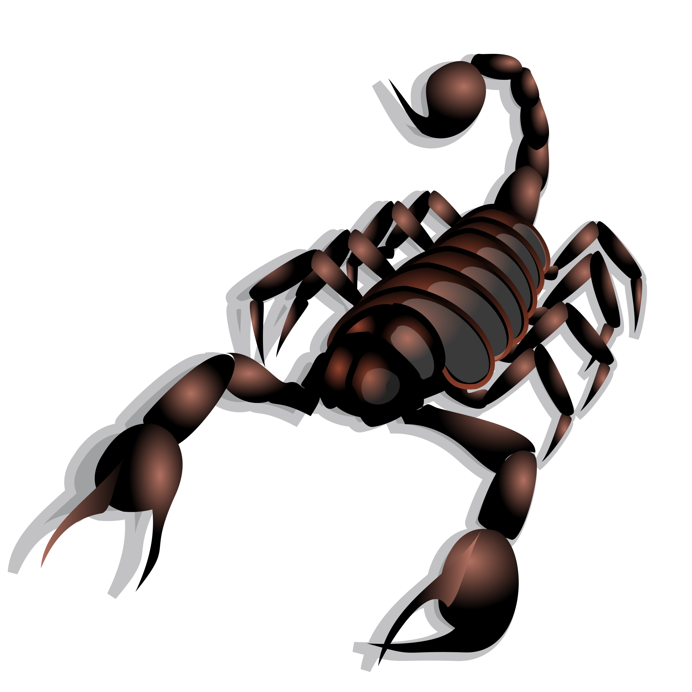 big clipart scorpion