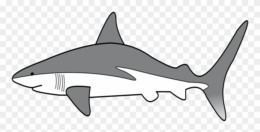 Big image png download. Clipart shark simple