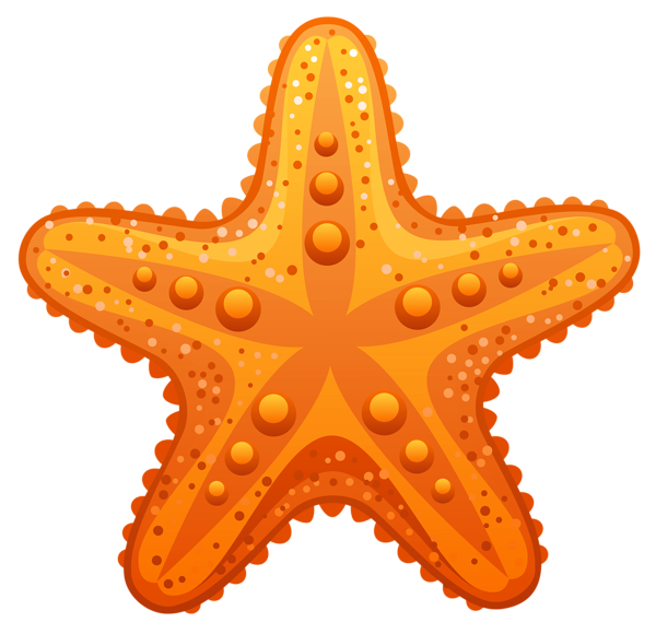 big clipart starfish