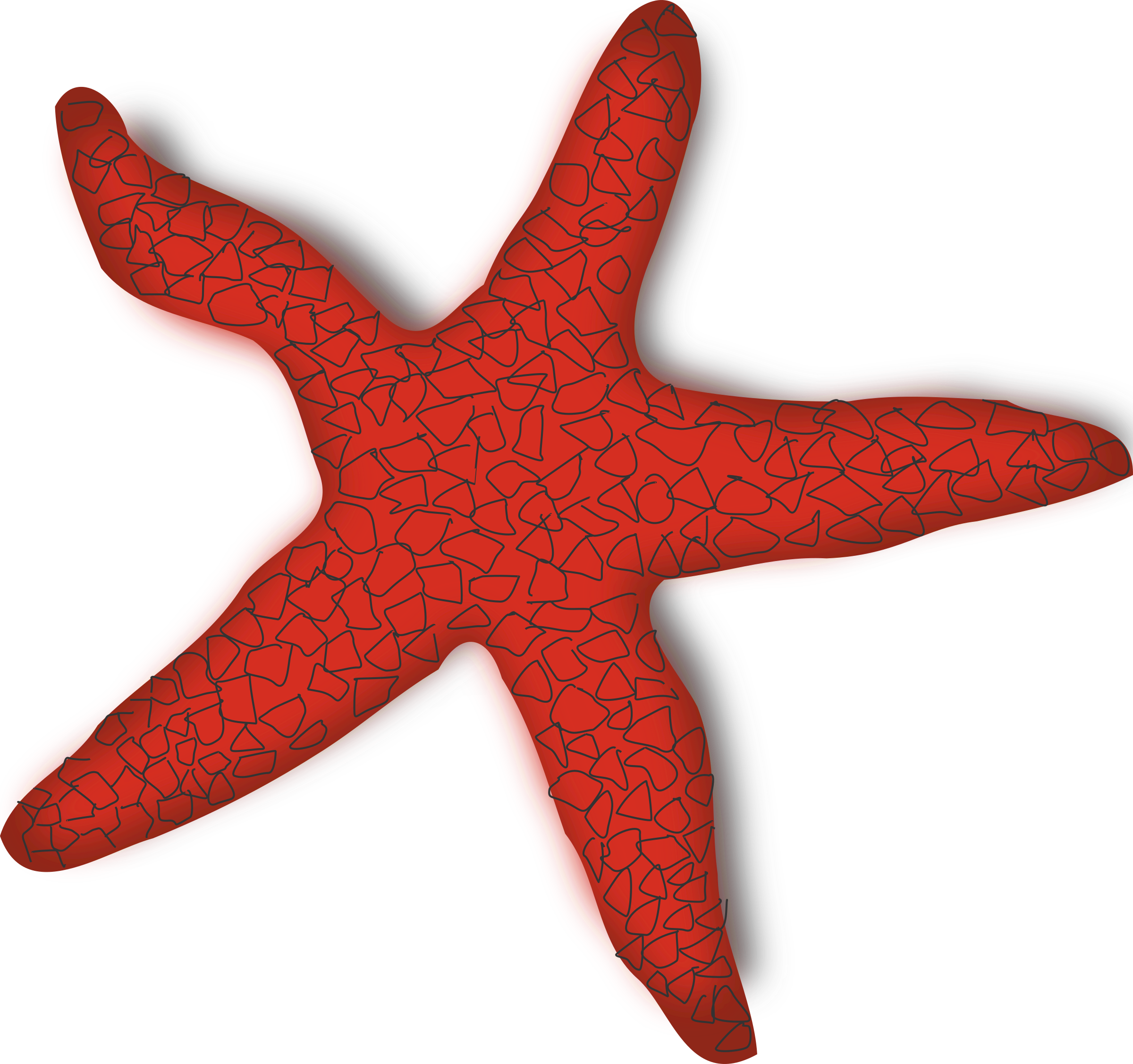 clipart beach starfish