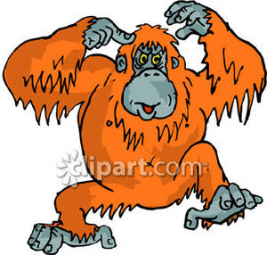 bigfoot clipart orangutan