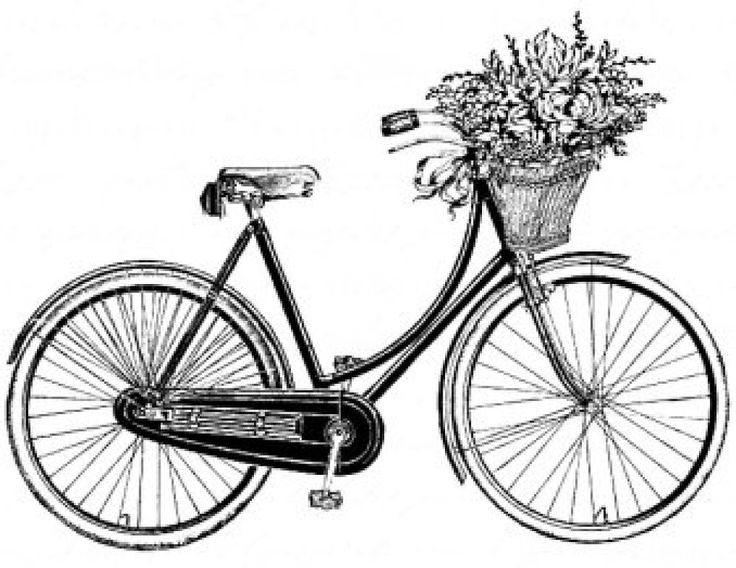 Bike clipart classic.  best bicycle images