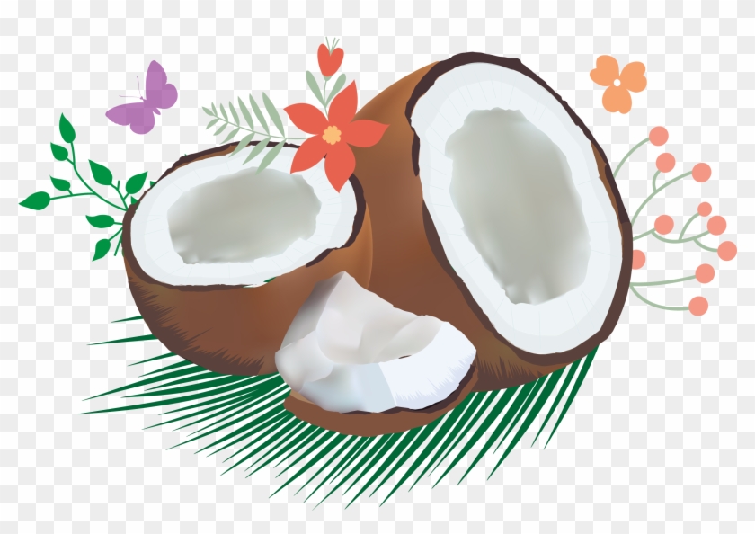 coconut clipart coconut oil