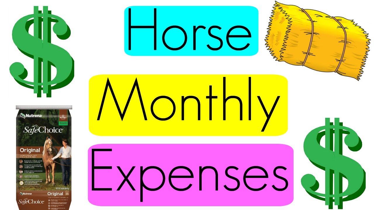 Bill clipart monthly expense. My horse s expenses