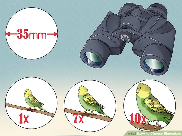 Binoculars clipart single. How to choose steps