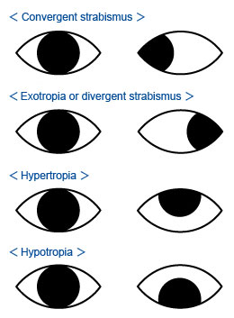 binoculars clipart eyesight