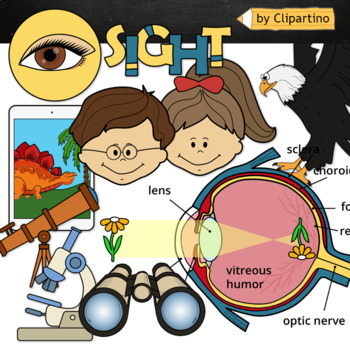 Binoculars clipart sight sense. Five senses 