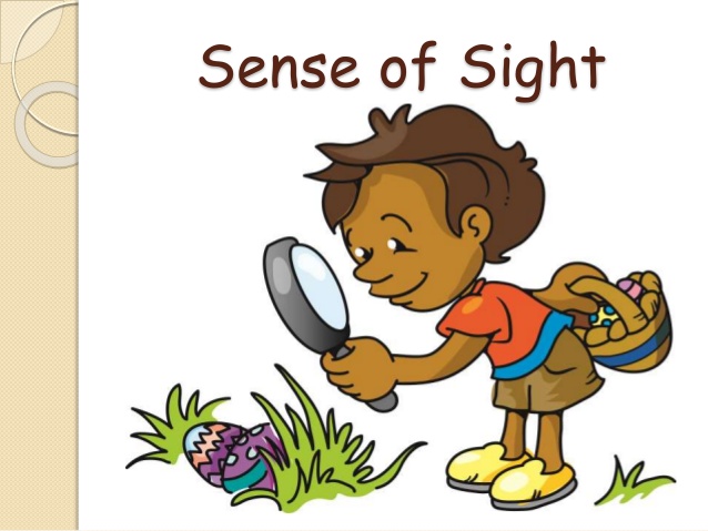 binoculars clipart sight sense