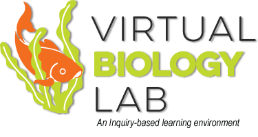 biology clipart bio lab