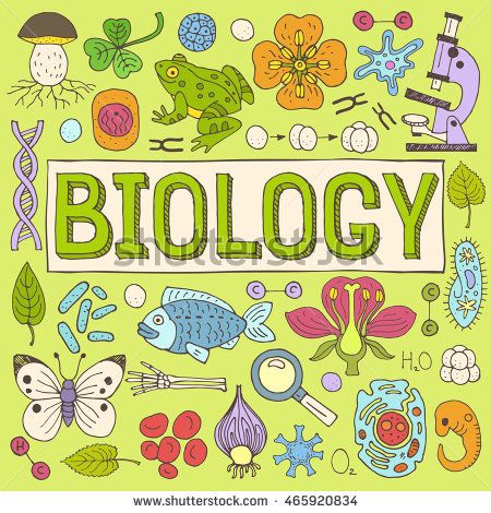 biology clipart biological