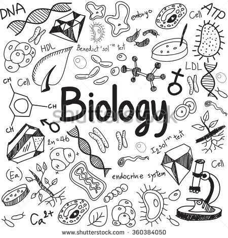 Science theory doodle handwriting. Biology clipart biology background
