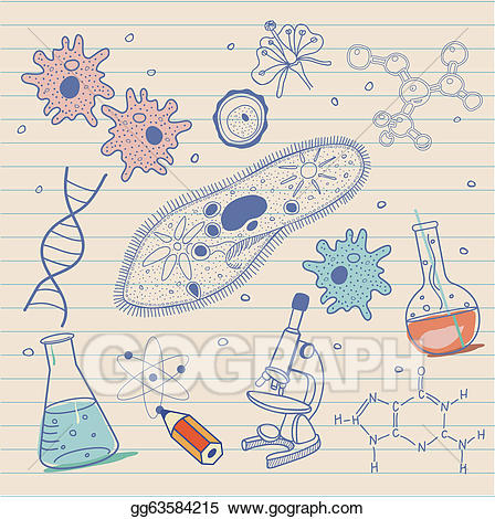 Biology clipart biology background. Vector stock sketches 