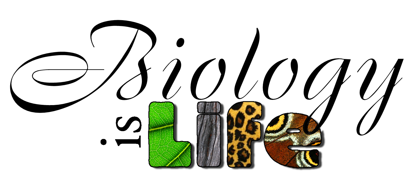 Title . Biology clipart biology cover page