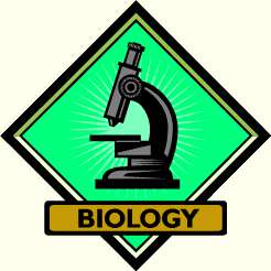 biology clipart biology laboratory