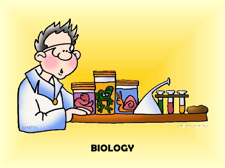 biology clipart biology subject