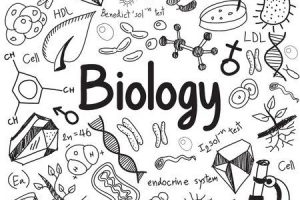 biology clipart black and white